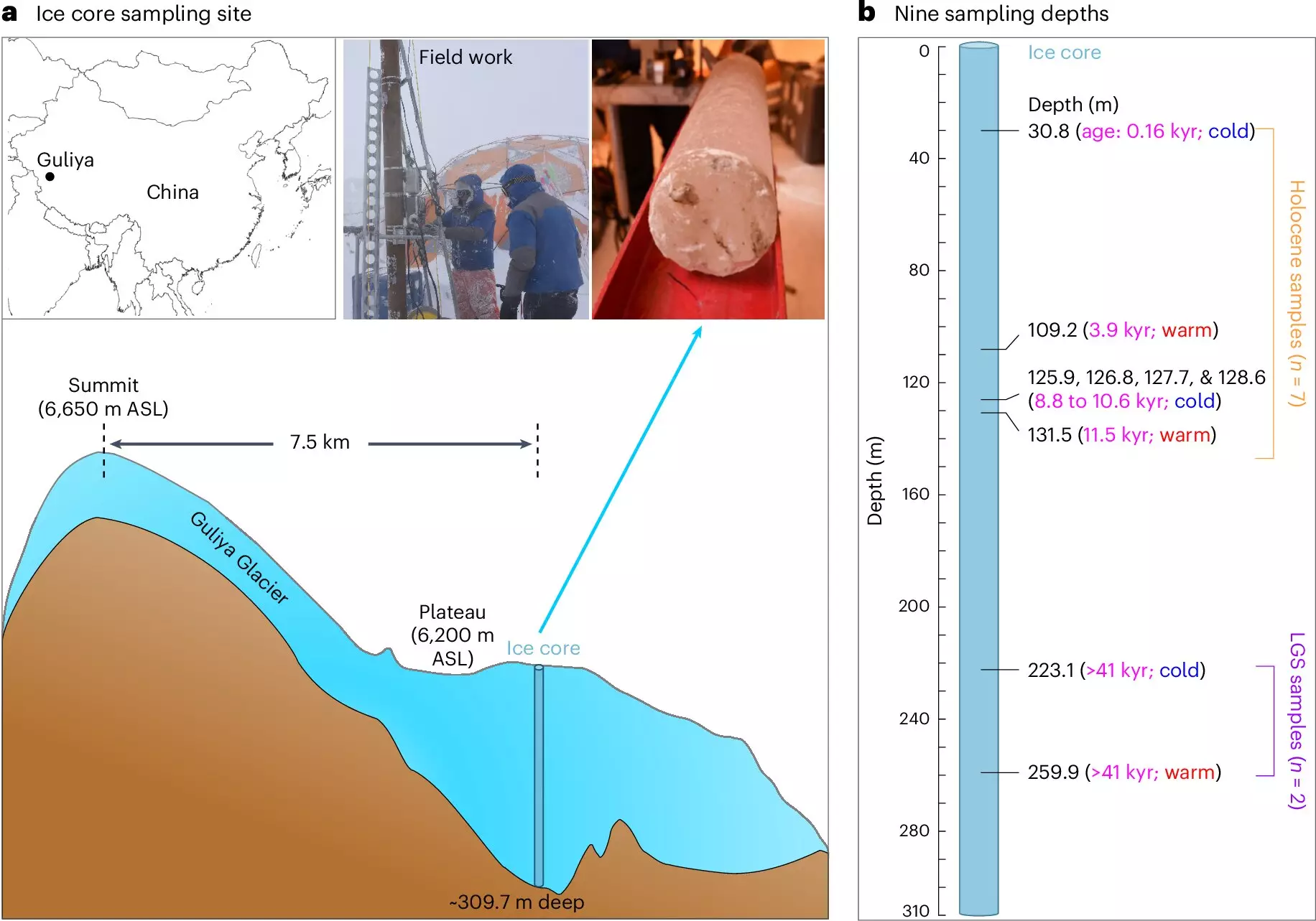 Unlocking Ancient Viruses: A Window into Earth’s Climatic History