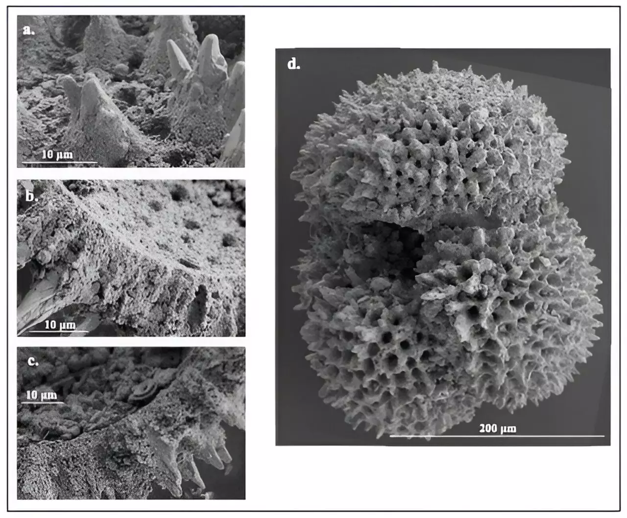 Unveiling Ancient Climate Patterns: Implications for Today’s Warming Trends