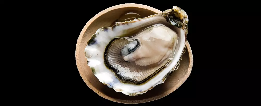 Revolutionizing Antibiotic Resistance: The Promise of Oyster Proteins