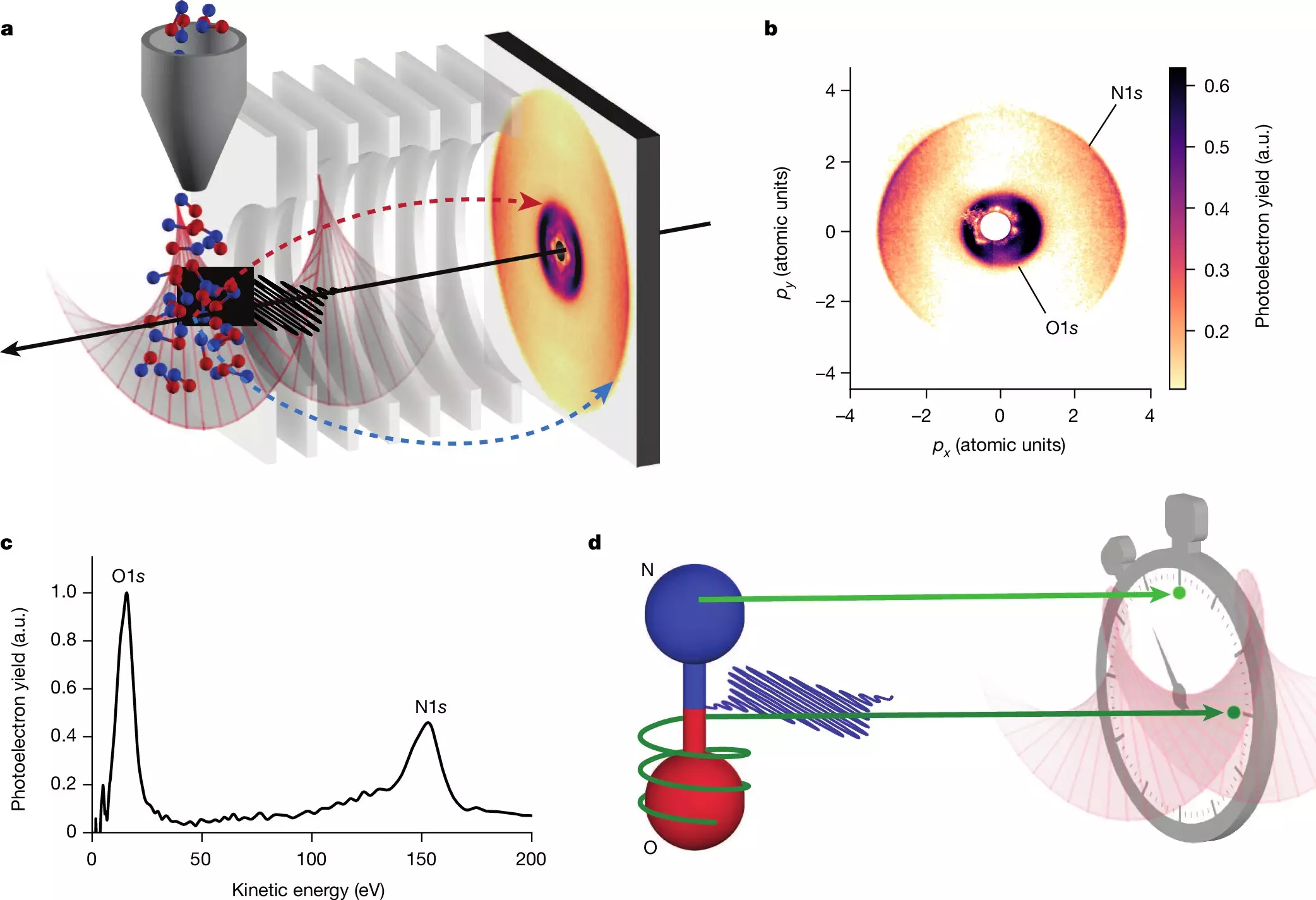 Unlocking the Universe: New Discoveries in Electron Dynamics with Attosecond Technology