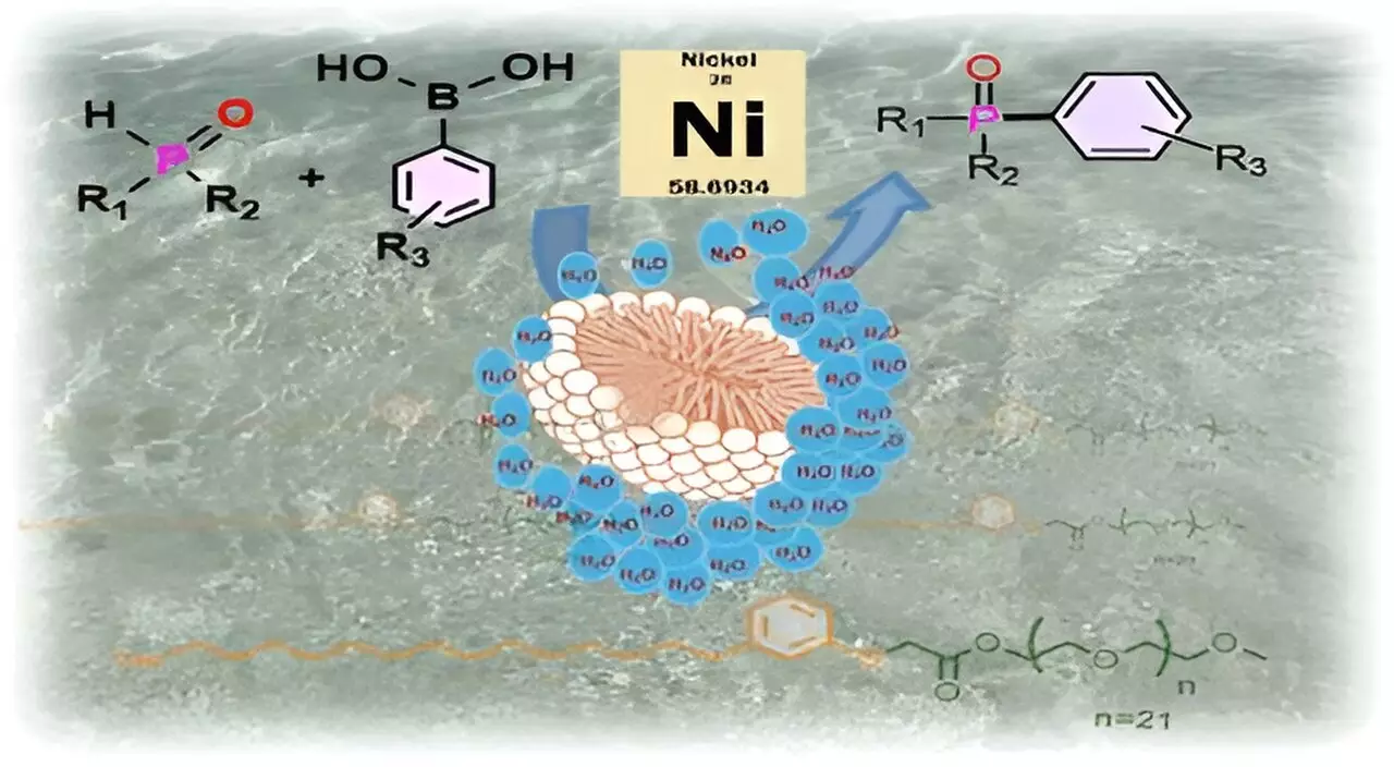 Sustainable Solutions: Revolutionizing Organic Synthesis Through Agricultural Waste