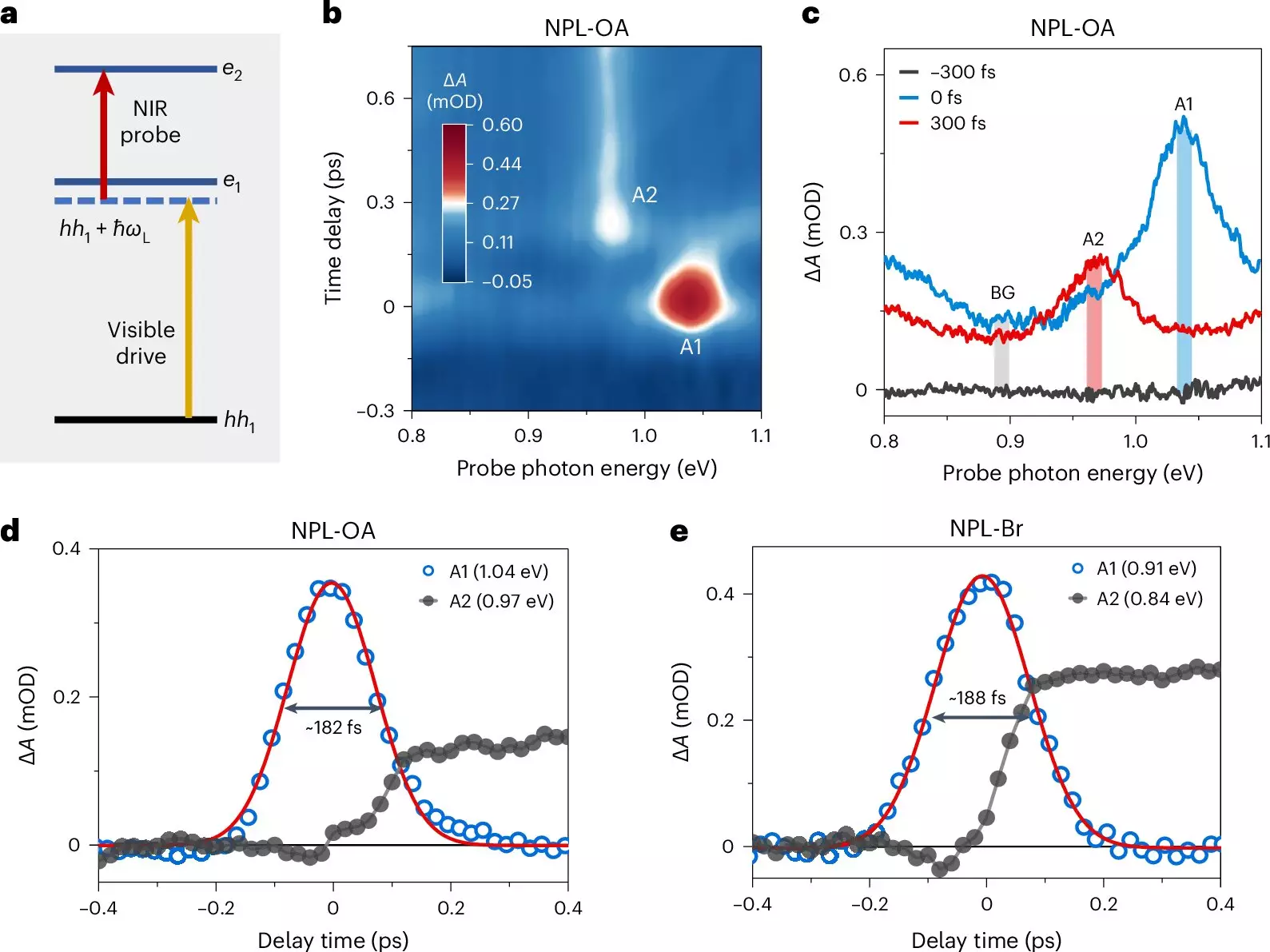 A New Era in Quantum Dot Research: Observing Floquet States under Ambient Conditions