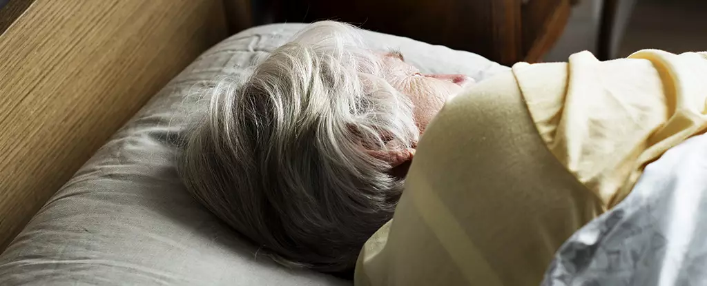 Understanding the Link Between REM Sleep and Alzheimer’s Disease