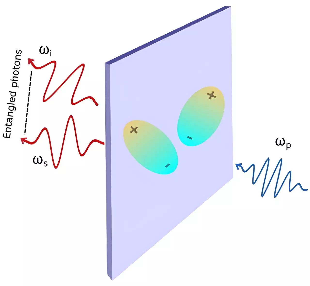 Advancements in Quantum Light Sources: Enhancing the Production of Entangled Photons