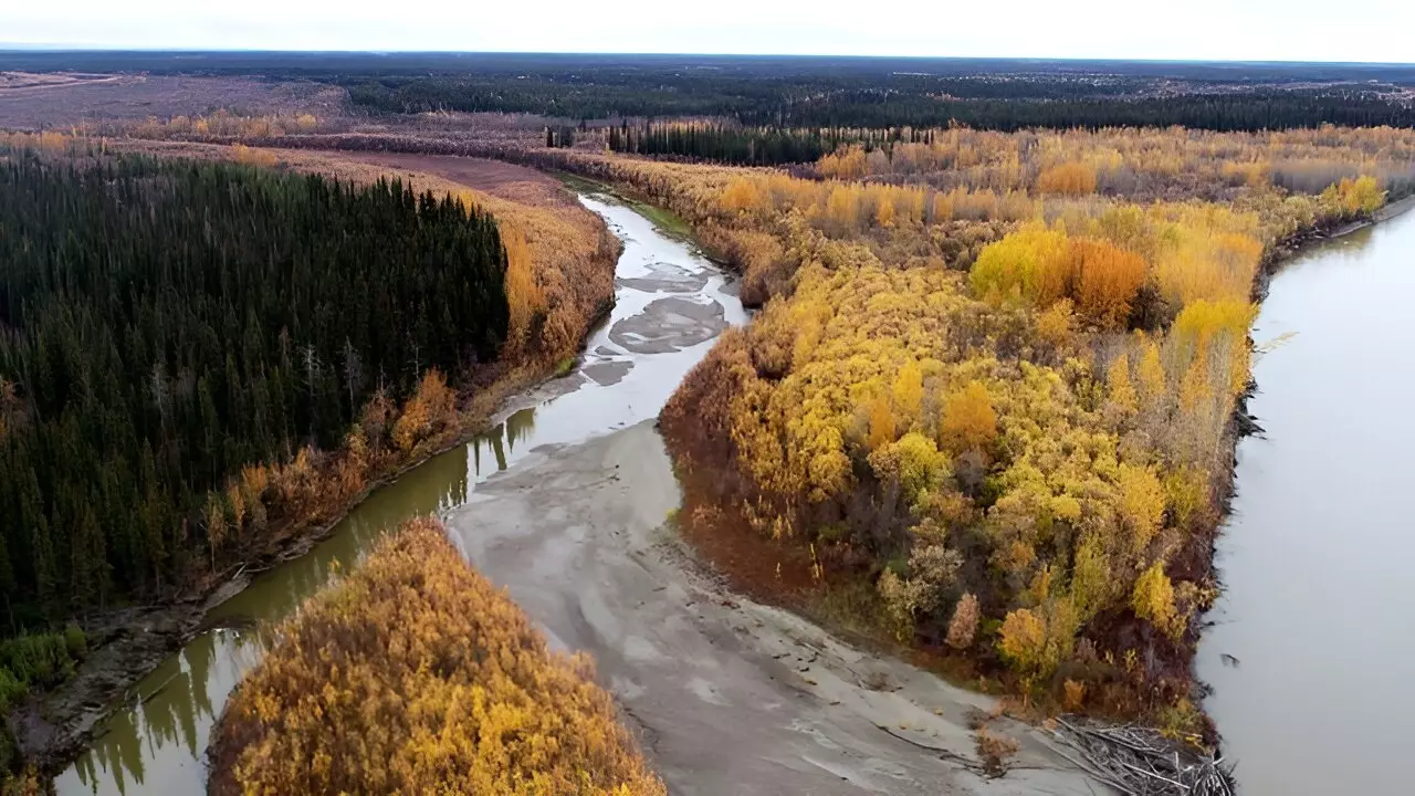 Unseen Dangers: The Mercury Threat Beneath Arctic Permafrost