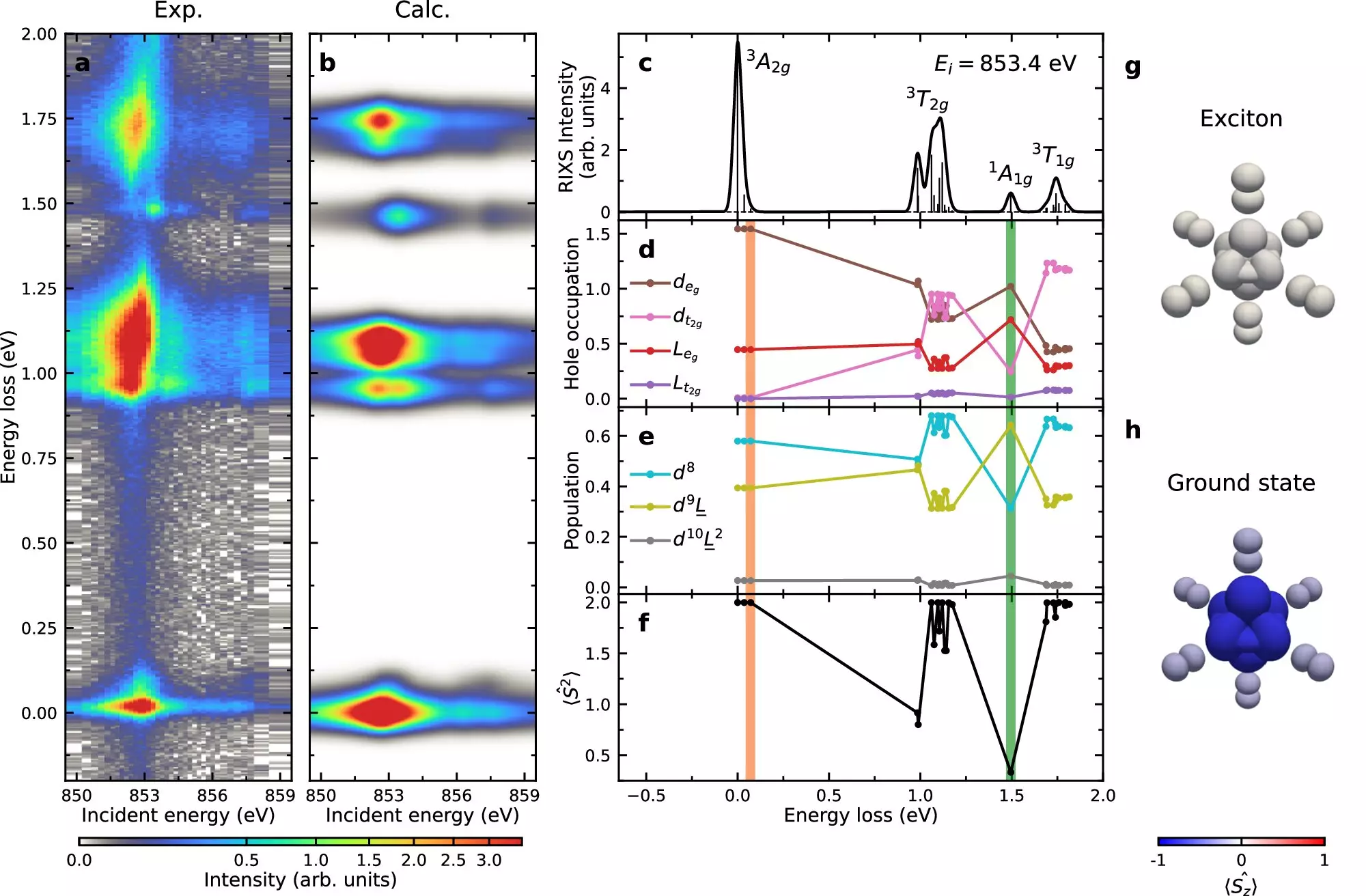 Unraveling the Mysteries of Excitons in Van der Waals Magnets