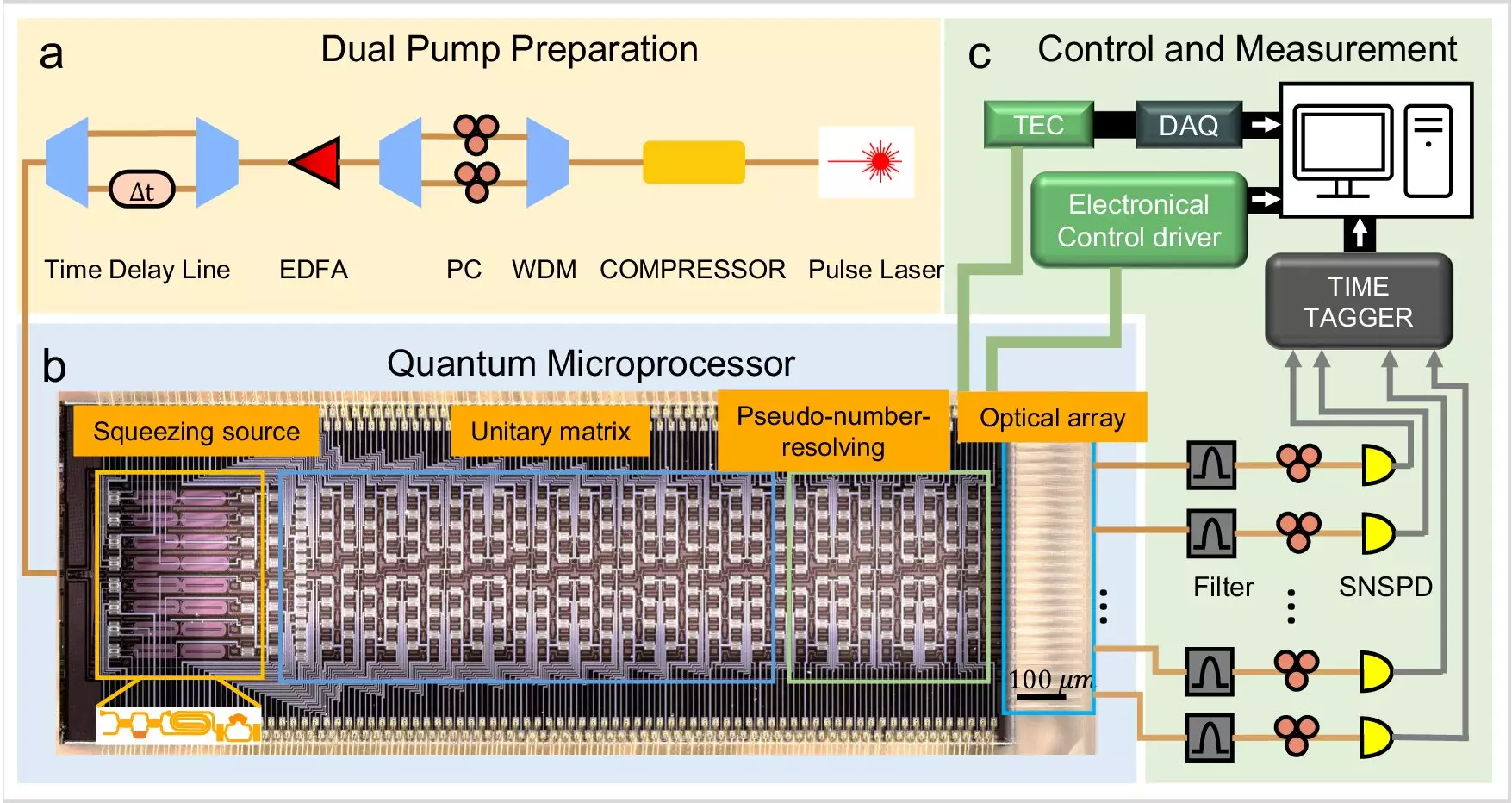 Revolutionizing Molecular Spectroscopy through Quantum Simulation