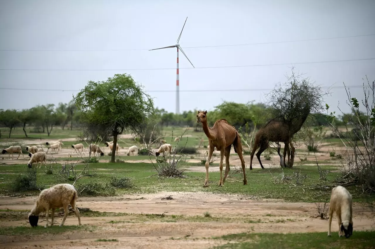 The Cost of Green Progress: Renewable Energy and Its Local Consequences in India’s Thar Desert