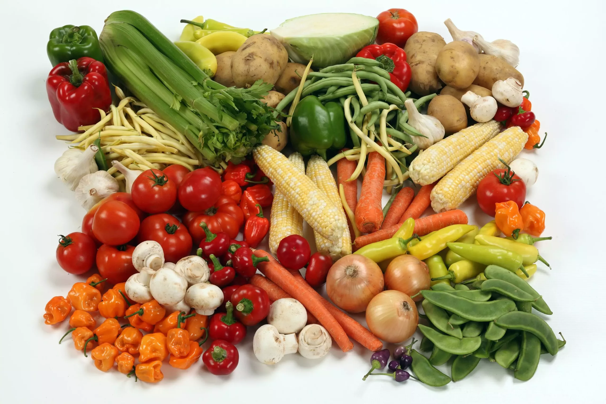 The Pathway to Sustainable Diets: Reducing Greenhouse Gas Emissions through Plant-Based Choices