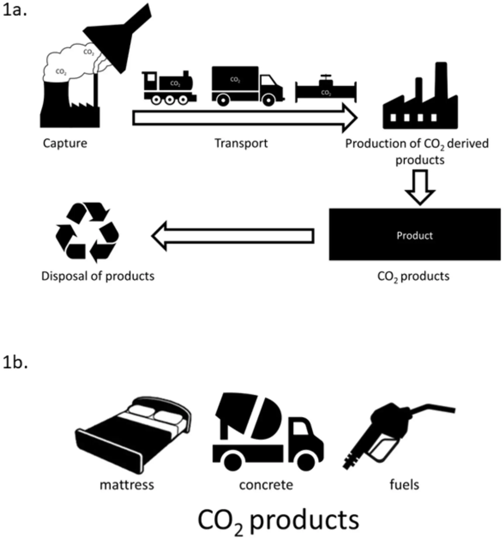 Understanding Public Perception of Carbon Capture Technology in the Fight Against Climate Change