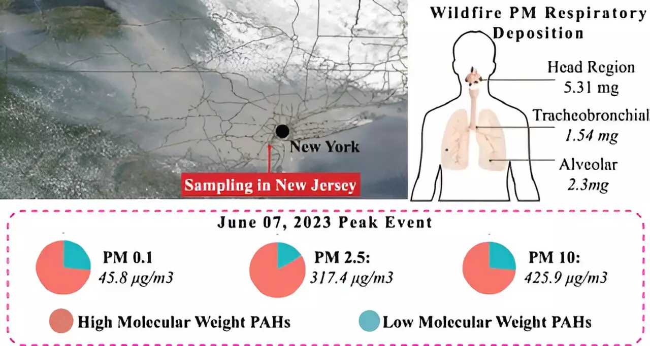 The Health Hazard of Wildfire Smoke: Insights from Rutgers Researchers