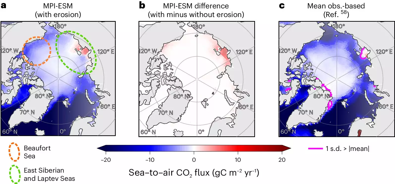 The Dwindling Carbon Sink: How Permafrost Erosion Threatens the Arctic Ocean’s Role in Climate Regulation