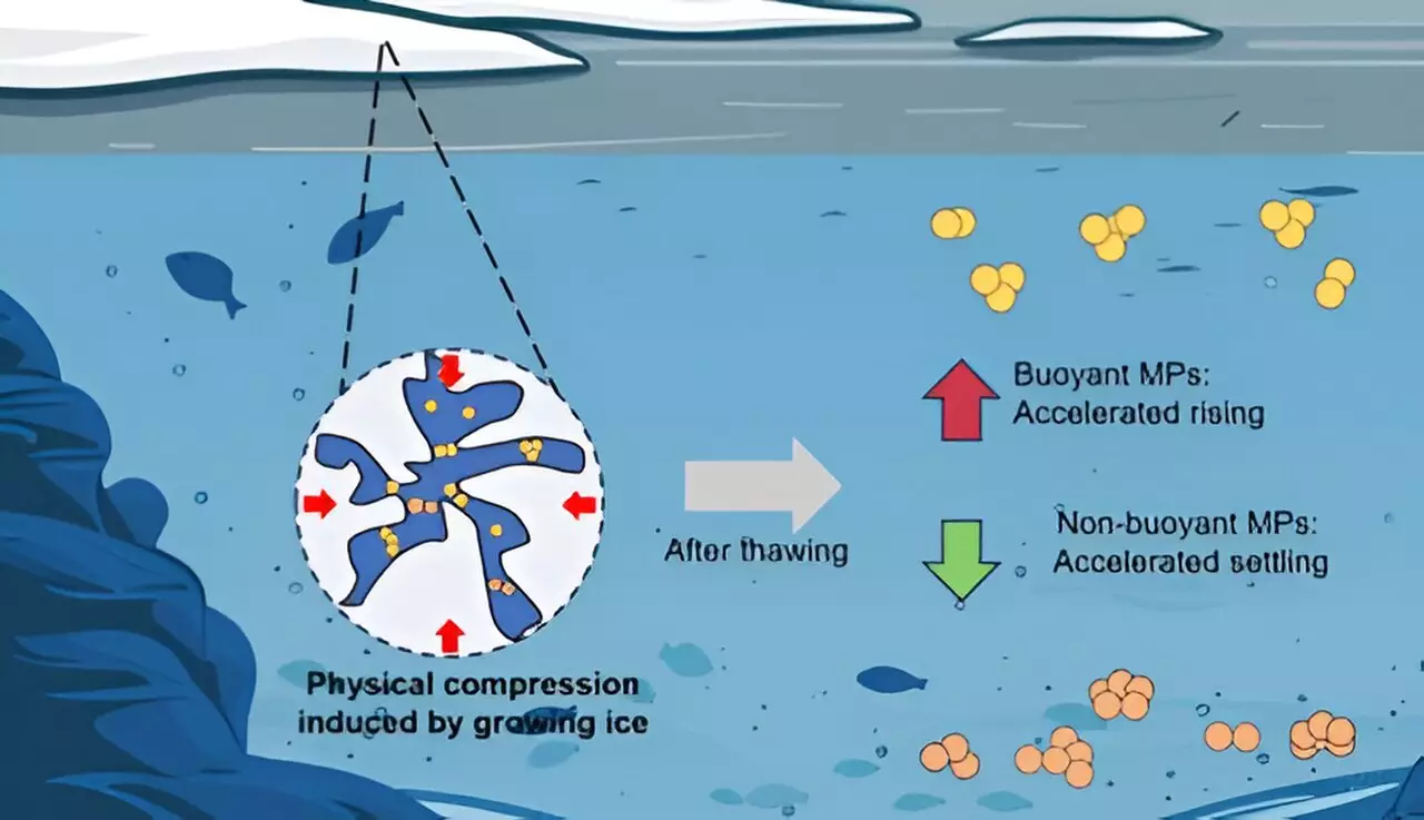 The Impact of Freezing on Microplastics: Insights from Recent Research