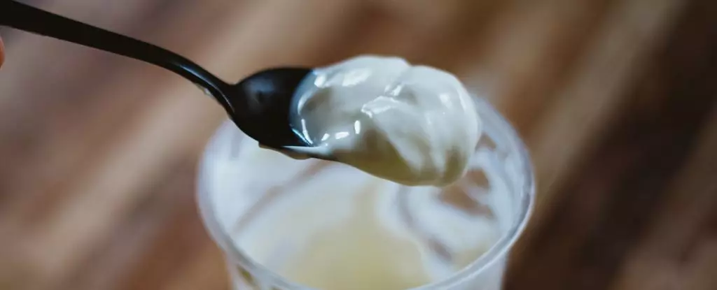 The Protective Power of Yogurt: Uncovering Links to Colorectal Cancer Prevention