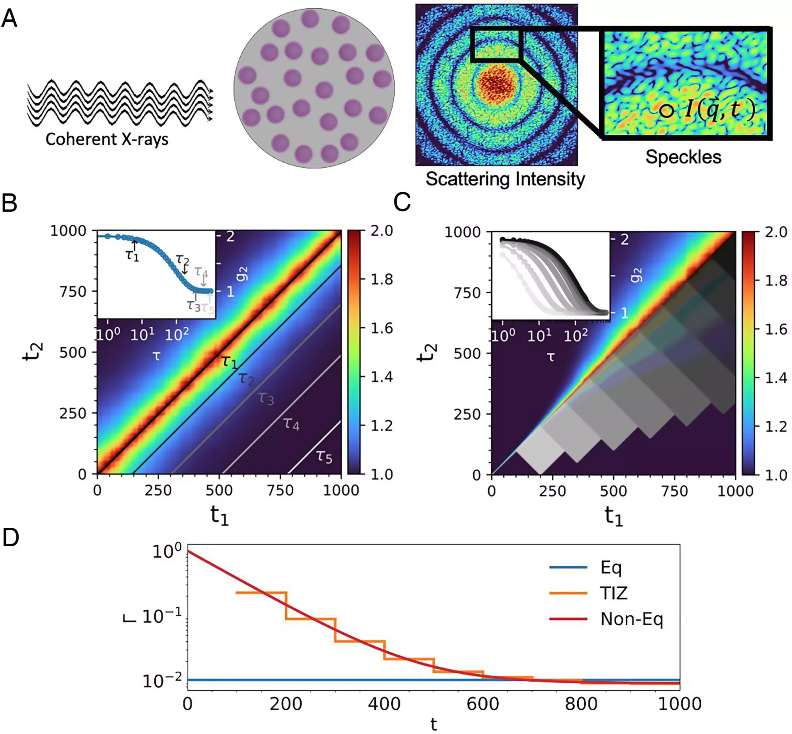 Advancements in Understanding Soft Matter: Exploring the Nanoscale