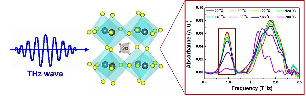 The Future of Hybrid Perovskites: Enhancing Durability and Real-Time Monitoring