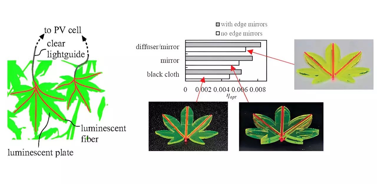 The Evolution of Luminescent Solar Concentrators: Innovations and Future Prospects