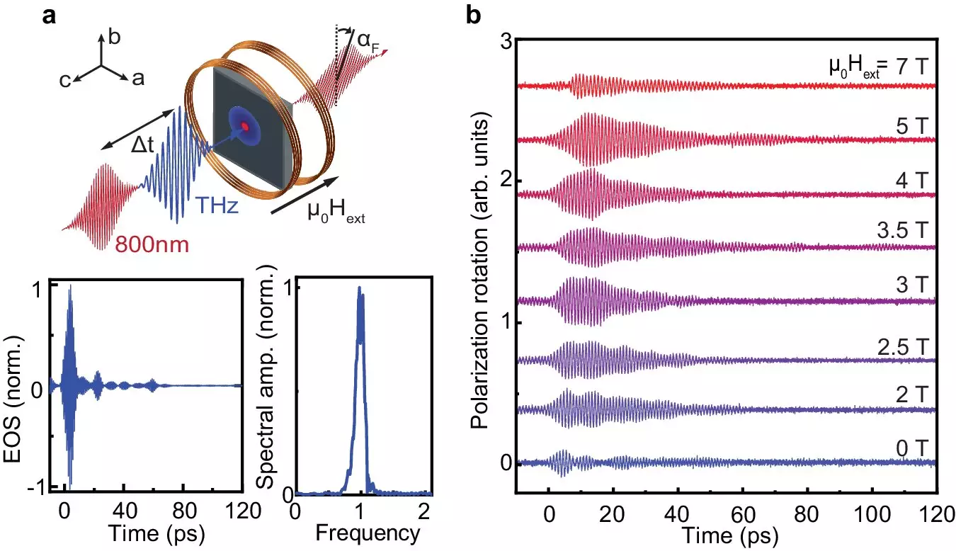 Revolutionizing Energy Efficiency: The Future of Data Storage with Antiferromagnets