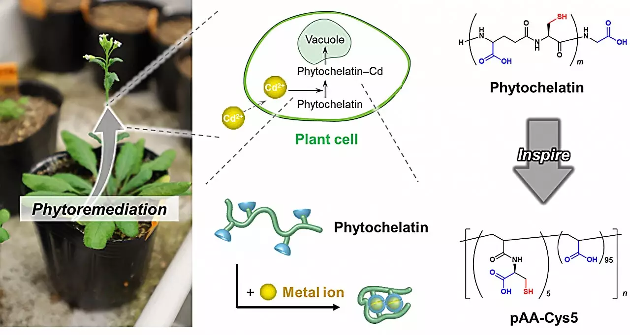 Revolutionary Polymer Technology: Transforming Water Purification for a Healthier Future