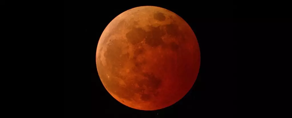 Illuminating the Night: Embrace the Magic of the Blood Worm Moon