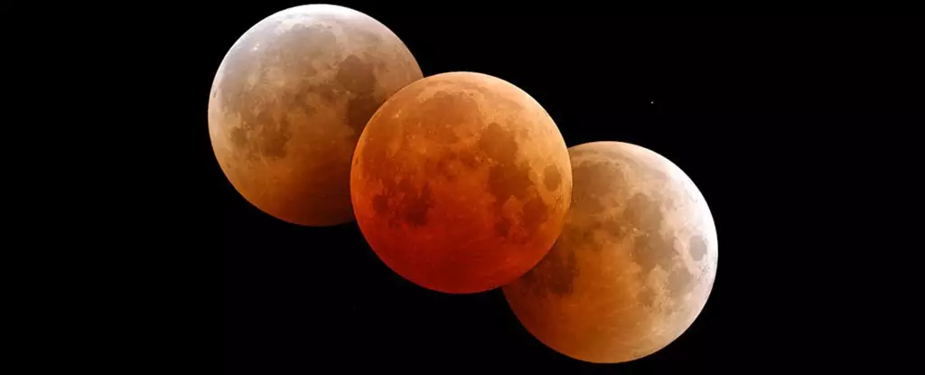 Marvel at the Celestial Spectacle: The Enchanting Blood Moon