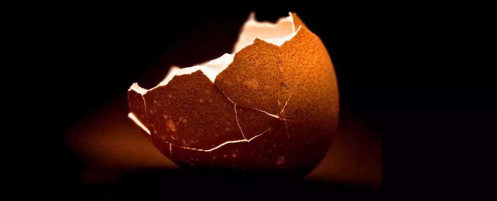 Unlocking the Secret to Perfectly Peelable Boiled Eggs: Scientific Insights and Practical Tips