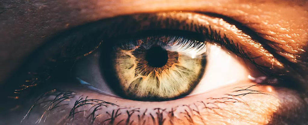 Transformative Breakthrough: Unlocking the Eye’s Self-Healing Potential