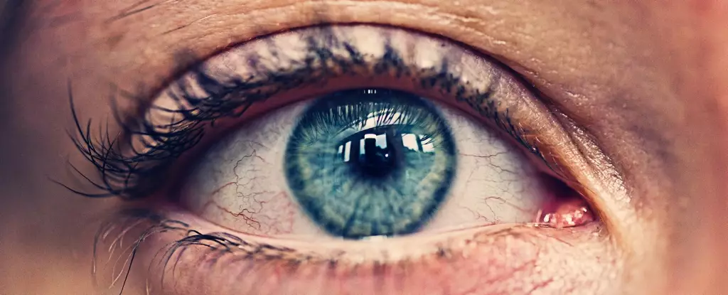 Protecting Vision: The Unseen Impact of Climate Crisis on Eye Health