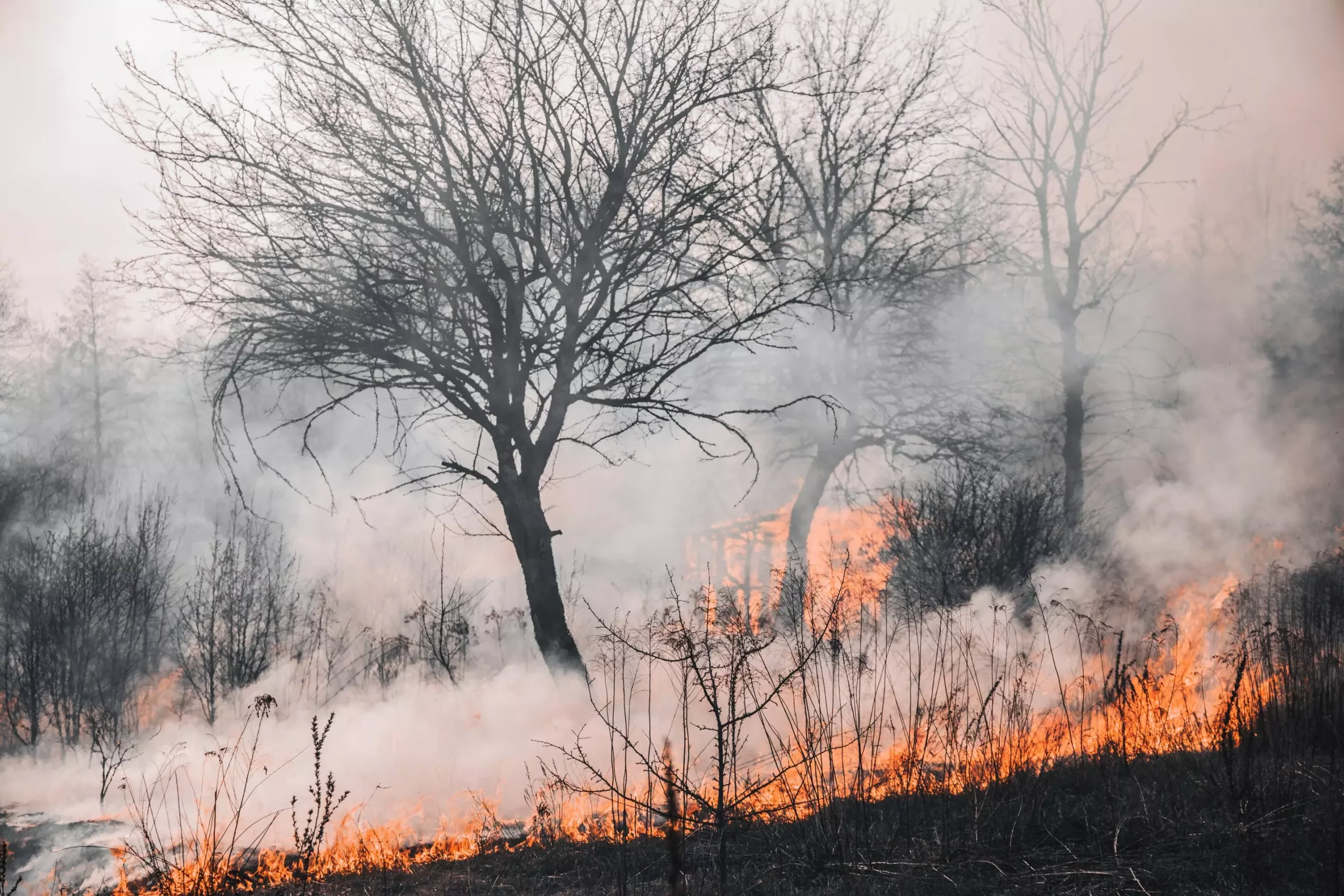 African Wildfires: A Hidden Threat to Ozone Recovery?