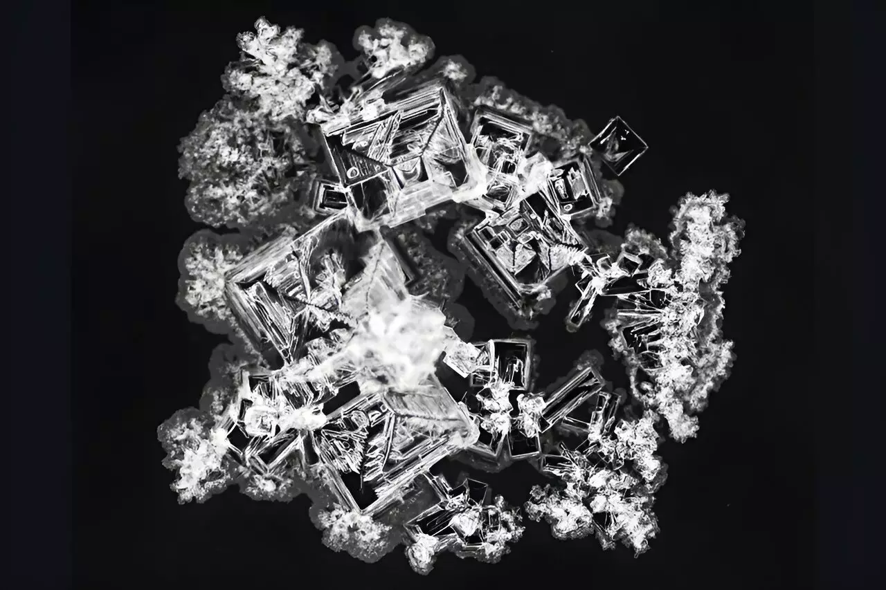 Unlocking Nature’s Artistry: How Salt Patterns Can Revolutionize Chemistry