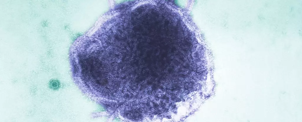 Measles Resurgence: A Wake-Up Call for Global Health