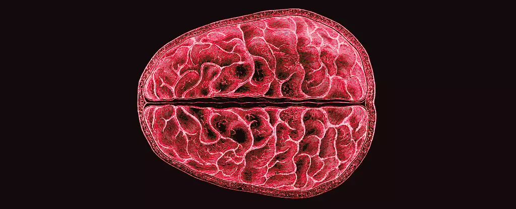 Unlocking the Hidden Impact of Menstruation on Brain Structure