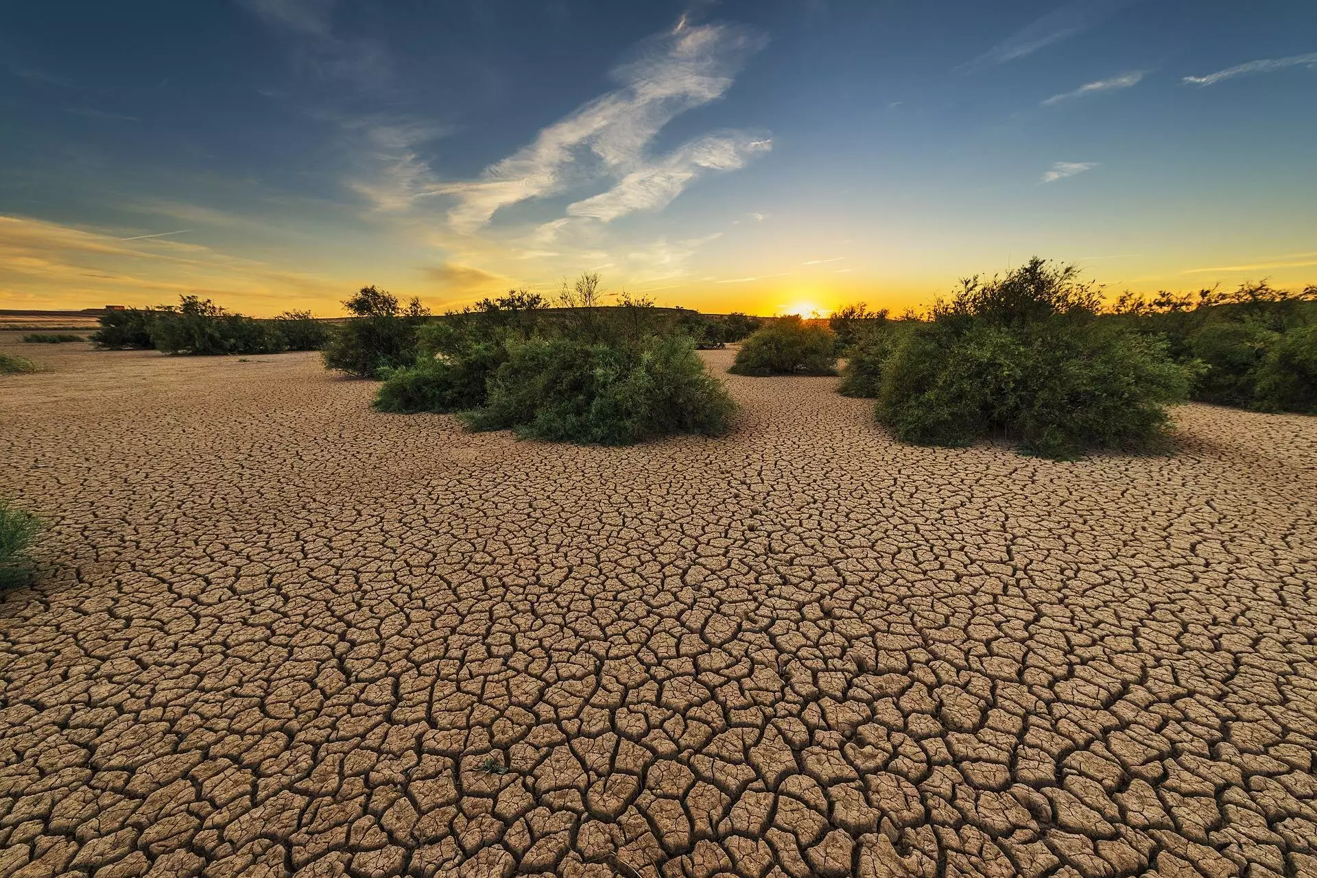 Flash Droughts: The Silent Crisis Demanding Urgent Action