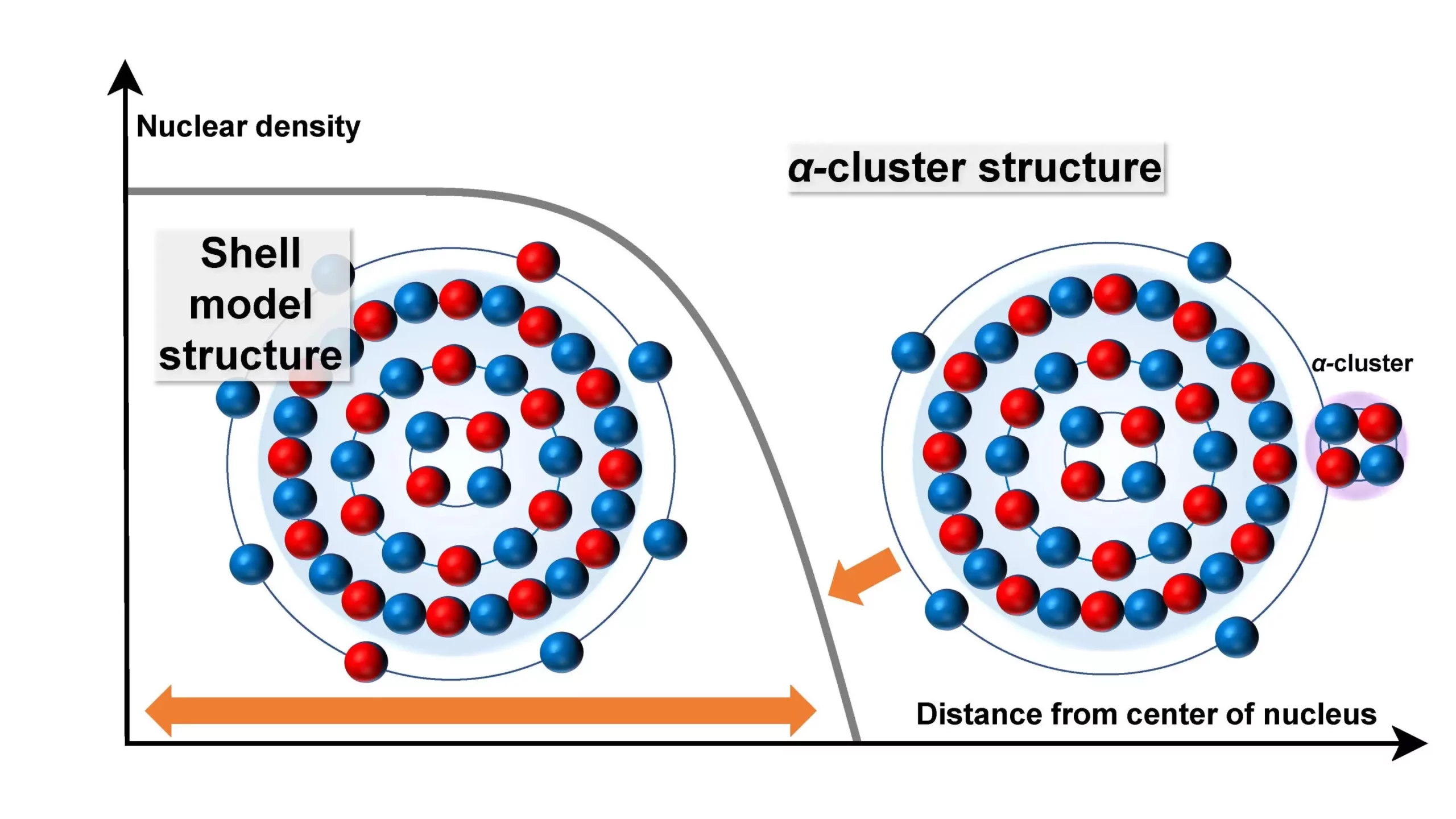 Revolutionizing Nuclear Physics: New Insights into Atomic Structure