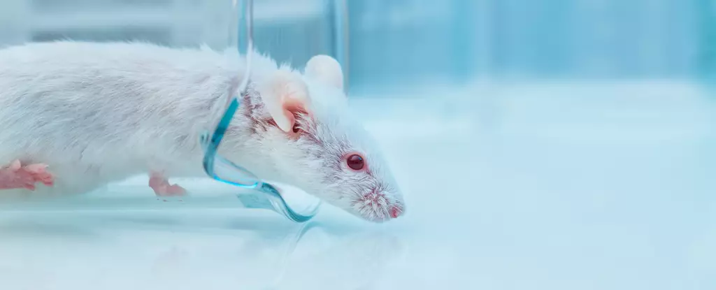 Unlocking the Future of Longevity: A Revolutionary Anti-Aging Drug Discovery
