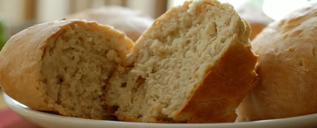 The Essential Guide to Understanding Gluten Intolerance and Coeliac Disease