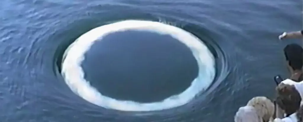 Whale Communication: The Enigmatic Dance of Bubble Rings