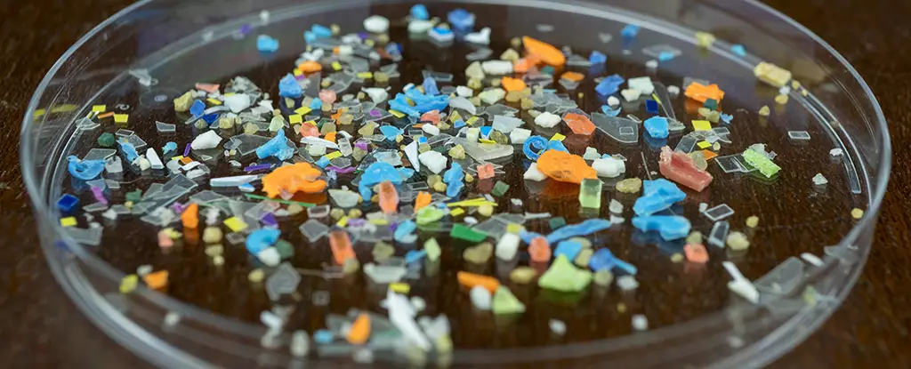 The Alarming Reality of Nanoplastics: Unraveling the Health Risks