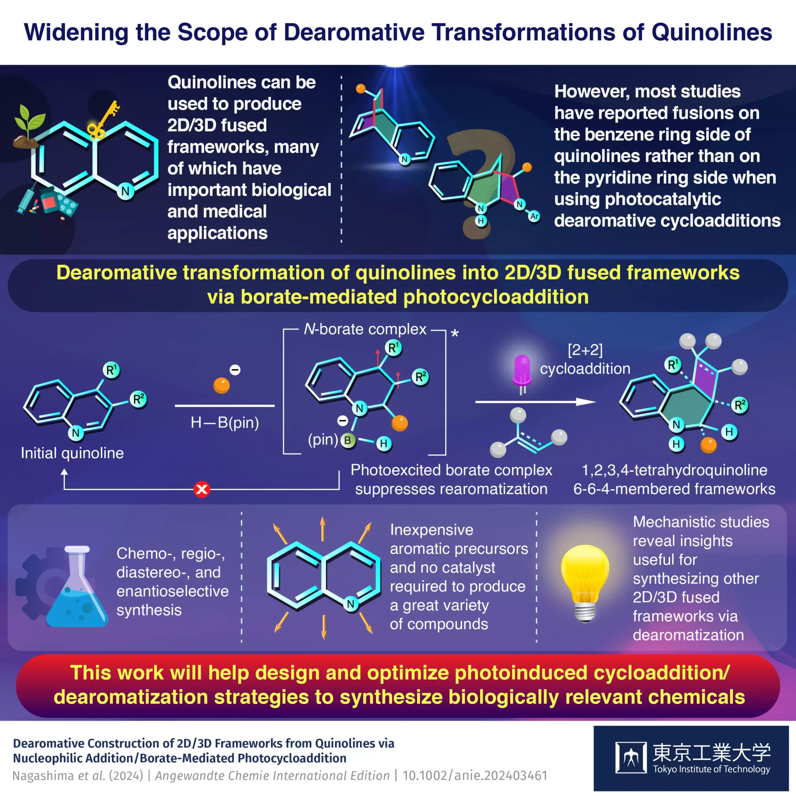 Revolutionizing Organic Synthesis: The Power of Quinolines in Creating Complex Frameworks