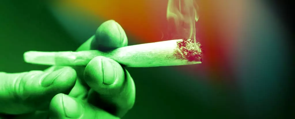 Cannabis and Cardiovascular Health: A Critical Perspective