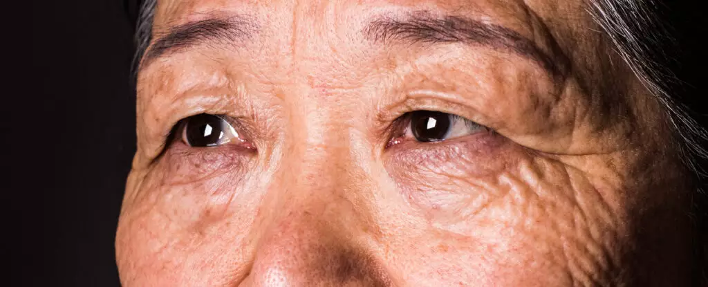 Unlocking the Future: How Our Eyes Can Predict Cognitive Decline