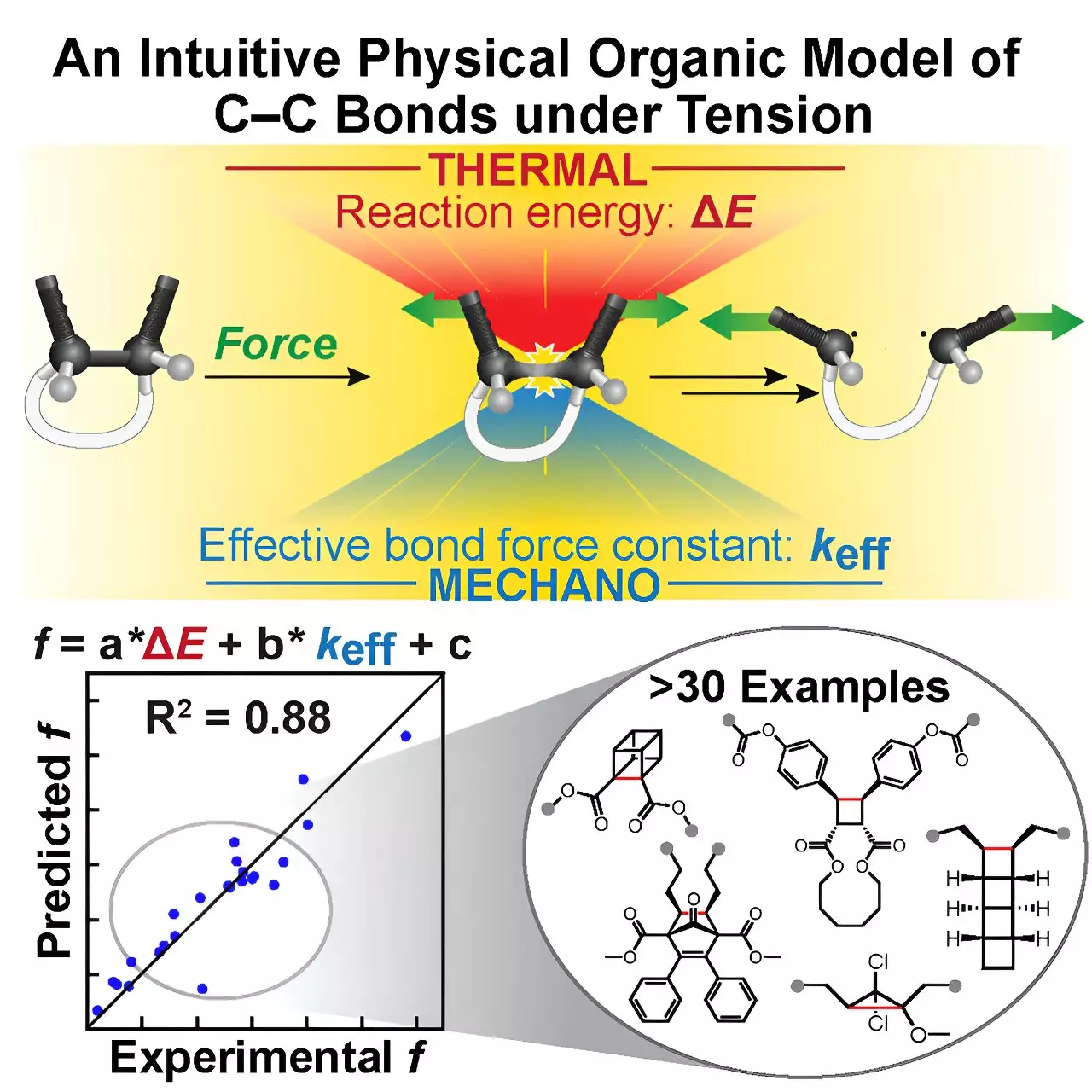 Revolutionizing Mechanochemistry: The Breakthrough Tool Transforming How We Understand Carbon-Carbon Bond Activation