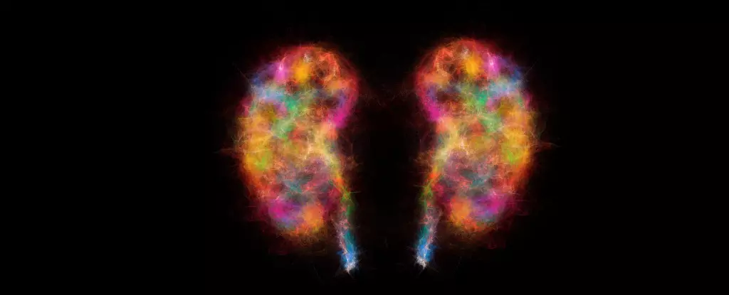 Revolutionizing Parkinson’s Understanding: The Kidney’s Surprising Role