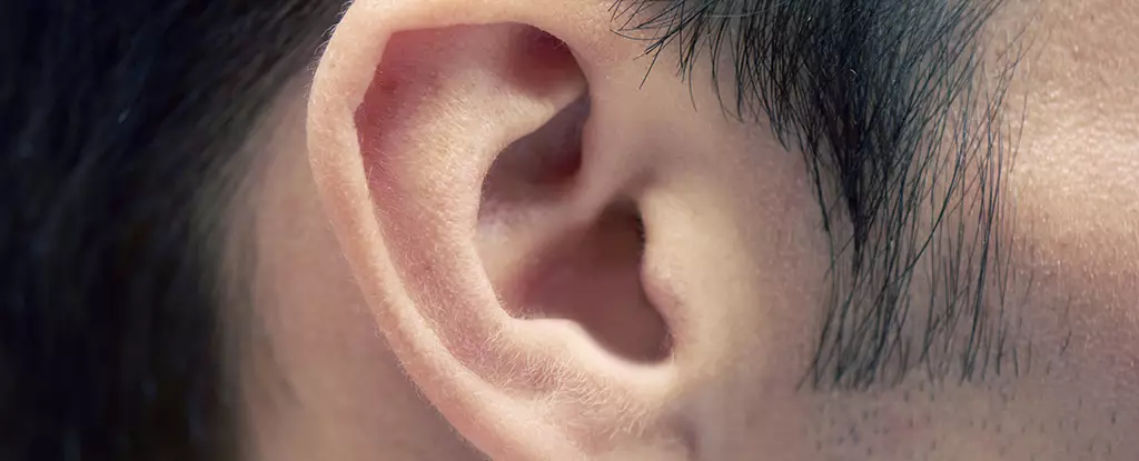 Revolutionizing Parkinson’s Diagnosis: Unlocking Earwax’s Hidden Secrets