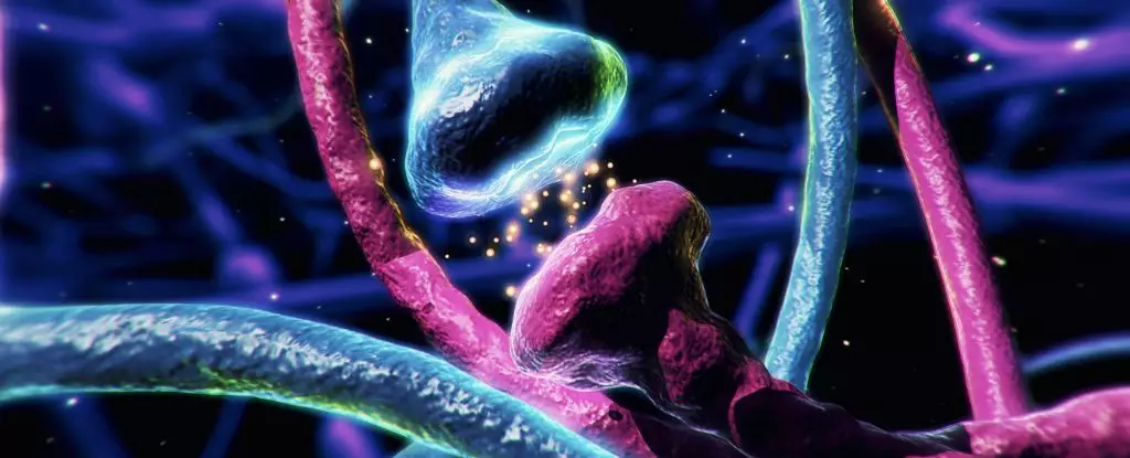 The Hidden Power of Dopamine: Unlocking the Brain’s Most Versatile Messenger