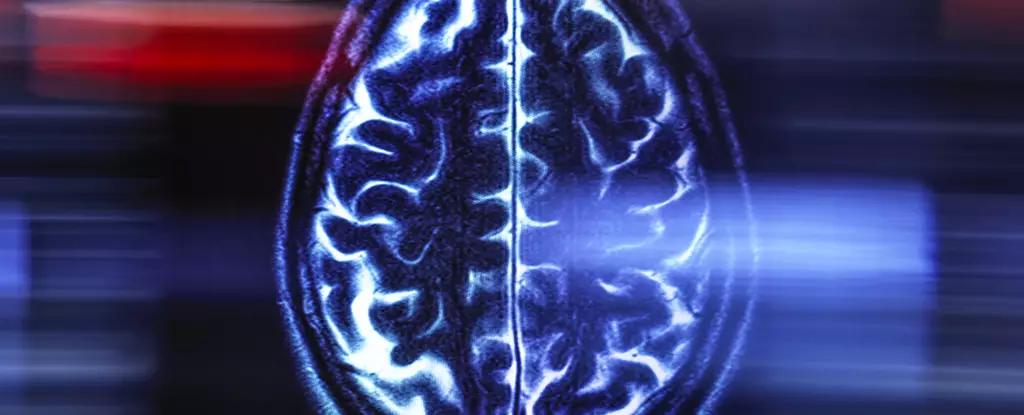 Revolutionizing Aging: How Brain Imaging Is Unlocking the Secrets to Longevity and Disease Prevention