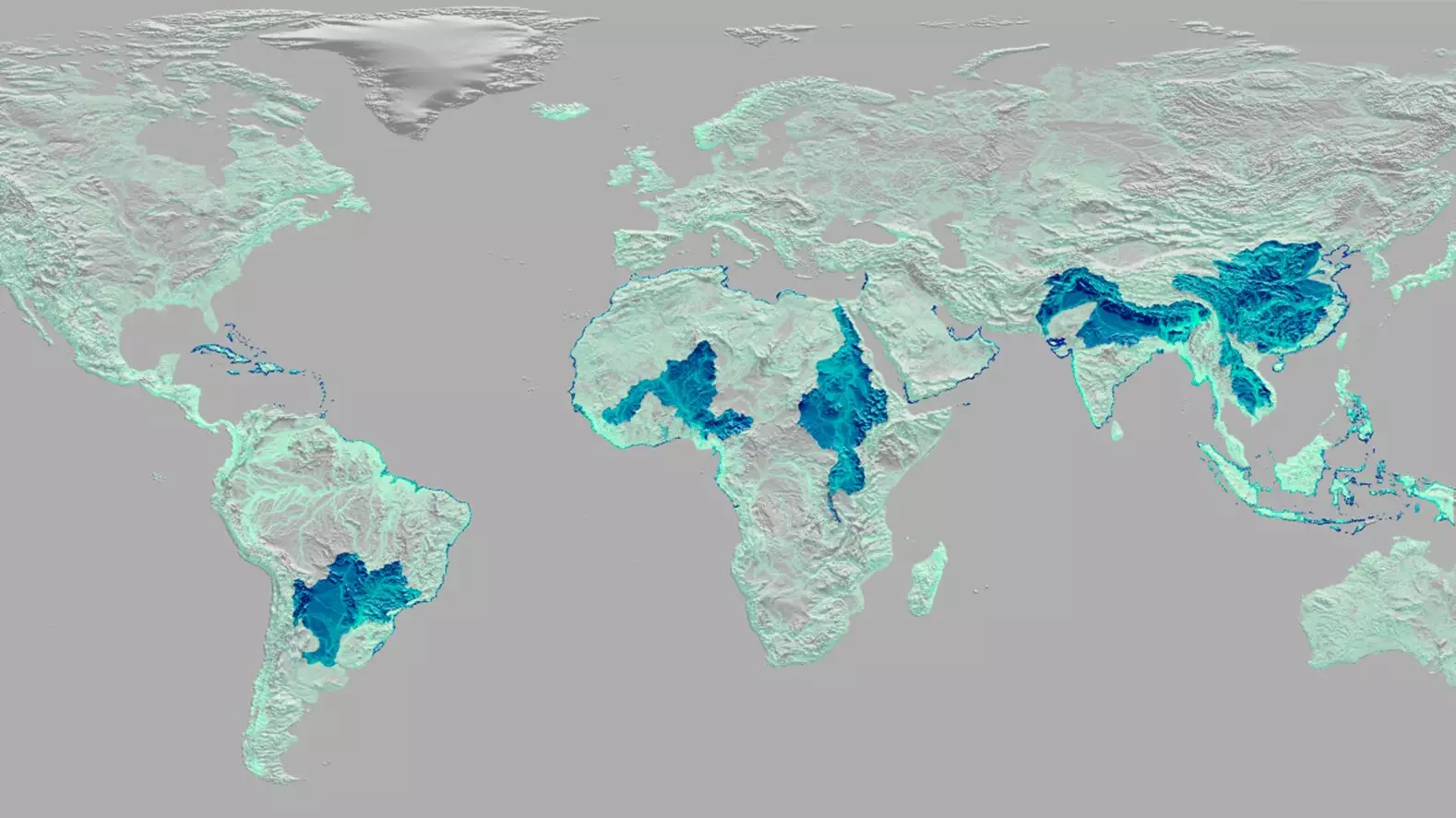 Unlocking the Hidden Threat: How Our Waste Systems Fail to Protect Oceans and Ecosystems