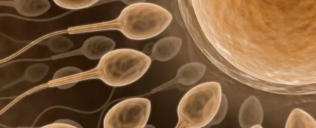 Revolutionizing Male Contraception: A Breakthrough Promise for Safer, Reversible Birth Control