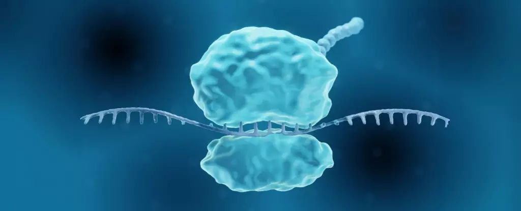 Revolutionizing Viral Defense: The Promise of a Universal Immunity Breakthrough