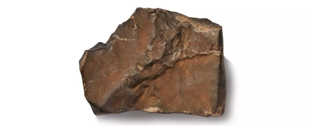 The Irresistible Power of Martian Meteorites: Unlocking Cosmic Secrets with Ethical Responsibility